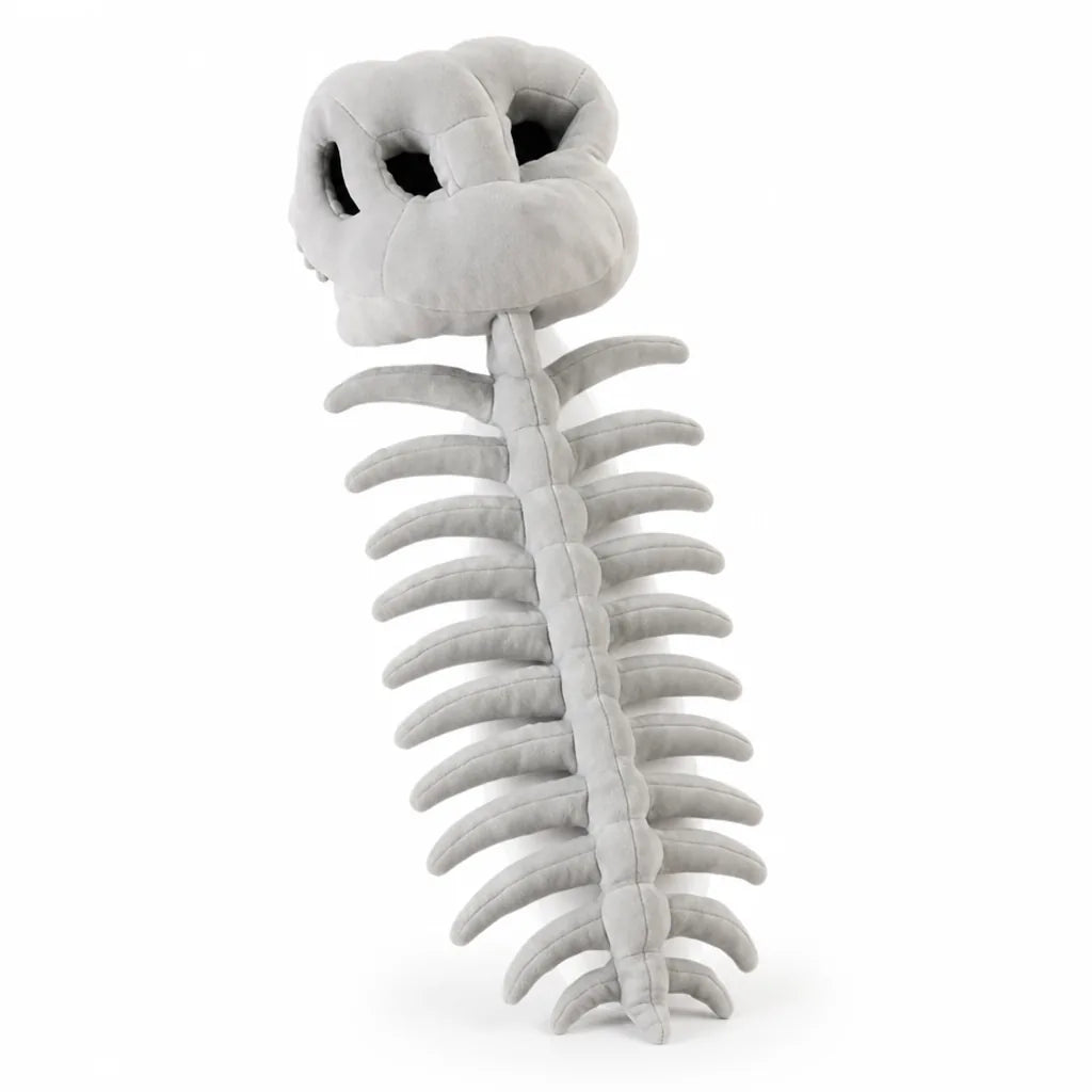 Dinosaur Costume Plush Printed Skeleton Pull On