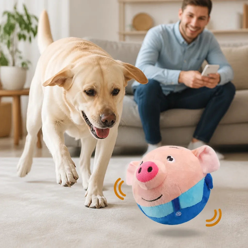 Interactive Pet Toy Sound & Motion Activated Rechargeable